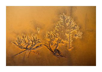 Photography of a unique frost pattern in the center of a window pane at golden hour.  
