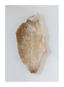 Sculpture piece of alabaster that is tan in nature and naturally formed. 