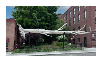 a photograph of Lakebone, a sculpture that consists of a bleached tree, that resembles driftwood, suspended horizontally above a pollinator meadow in the middle of a sidewalk in Burlington Vermont