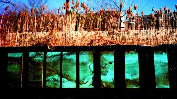 arp_andrew_and_rivkah_meadows_panels
