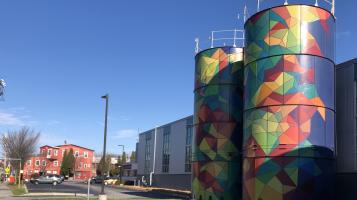 lacy_mary_silos
