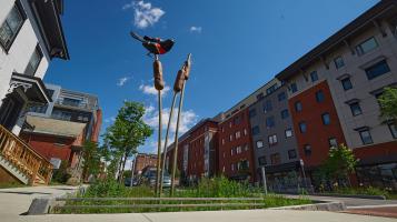 pill_jake_and_kyle_sikora_cattails2