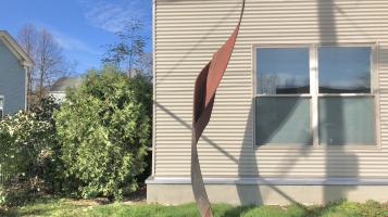 pond_kate_koru_rising1