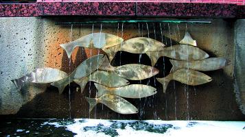 pond_kate_silver_school
