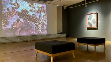 two bench seats directly in front of video screen of abstract art in a gallery