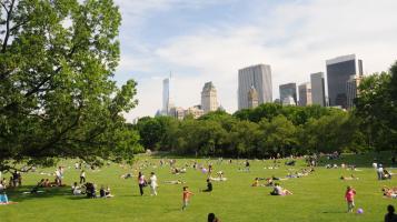 A photograph of Central Park, showing a green field with a smattering of people seen from a distance, and the skyline of New York City visible in the background behind a wall of green trees.