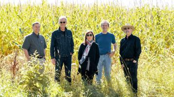 Four light skinned men and one woman stand in front of a sunny cornfield