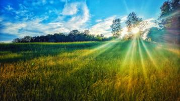 Photograph of a field at sunset. Blue sky and swirling clouds above and tall green and gold grass with the sunbursting over the horizon.