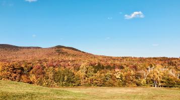 photo of fall foliage on mountains