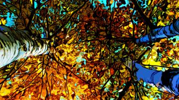 Upward photographic view of birch trees, highlighted by its blue and vibrant orange tones. 