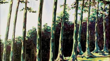 A tree line's shadow, depicted in dark greens and yellows. 