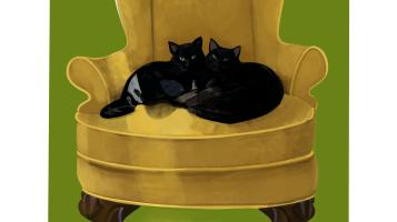 Two black cats curled together on a yellow decorative chair. Olive green background. 