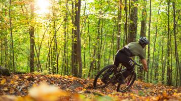 Photograph of the backside of a man biking among vibrant green foliage and orange leaves. 