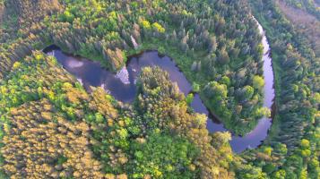Aerial photography of a winding river through forestlands.