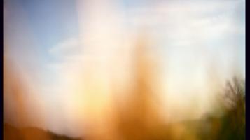 Photograph depicting a blurred grass blade along a blue sky. 