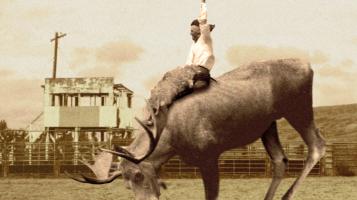 A digital montage showing a moose standing in a rural field, with a cowboy riding its back against a dramatic, cloudy sky.