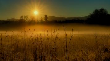 Photograph depicting a foggy sunrise over a field in vibrant yellows, oranges, and blues. 