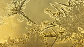 Photograph of a frost pattern on a window in a yellow hue. 