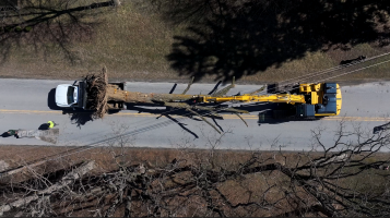 aerial photo of a tree on a flatbed truck