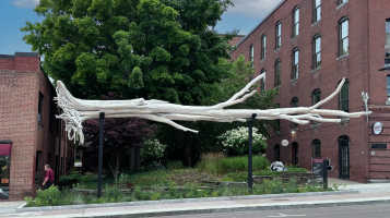 a photograph of Lakebone, a sculpture that consists of a bleached tree, that resembles driftwood, suspended horizontally above a pollinator meadow in the middle of a sidewalk in Burlington Vermont