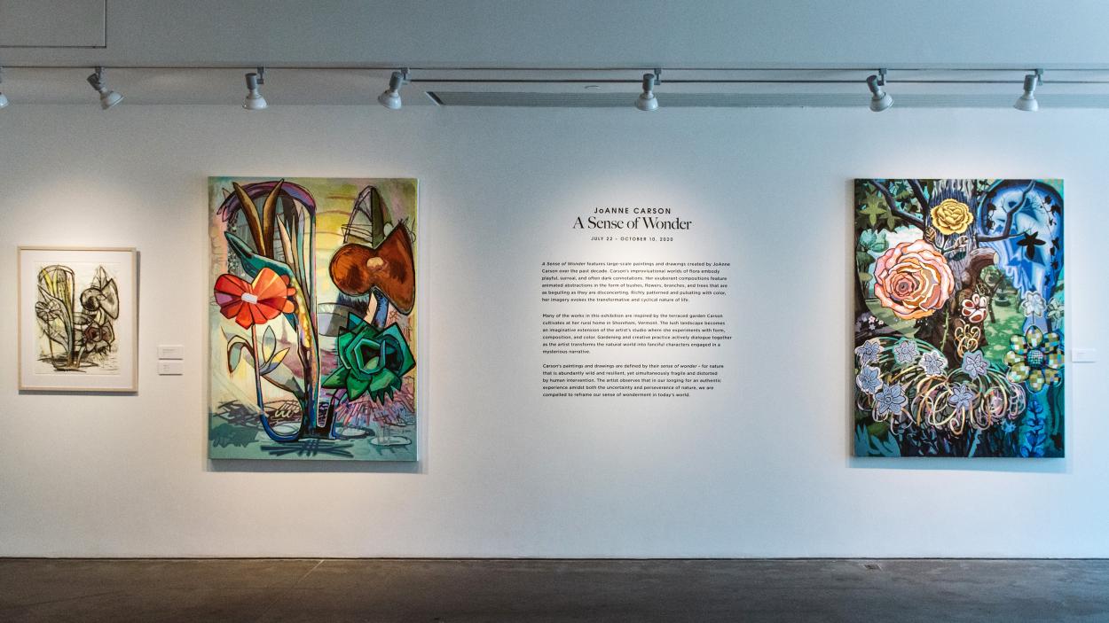 JoAnne Carson: A Sense of Wonder, exhibition view, 2020