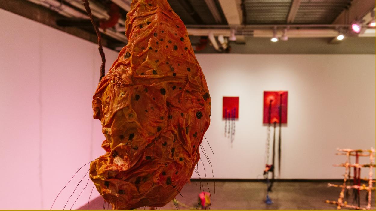 Estefania Puerta: Sore Mouth Swore, BCA Center Installation