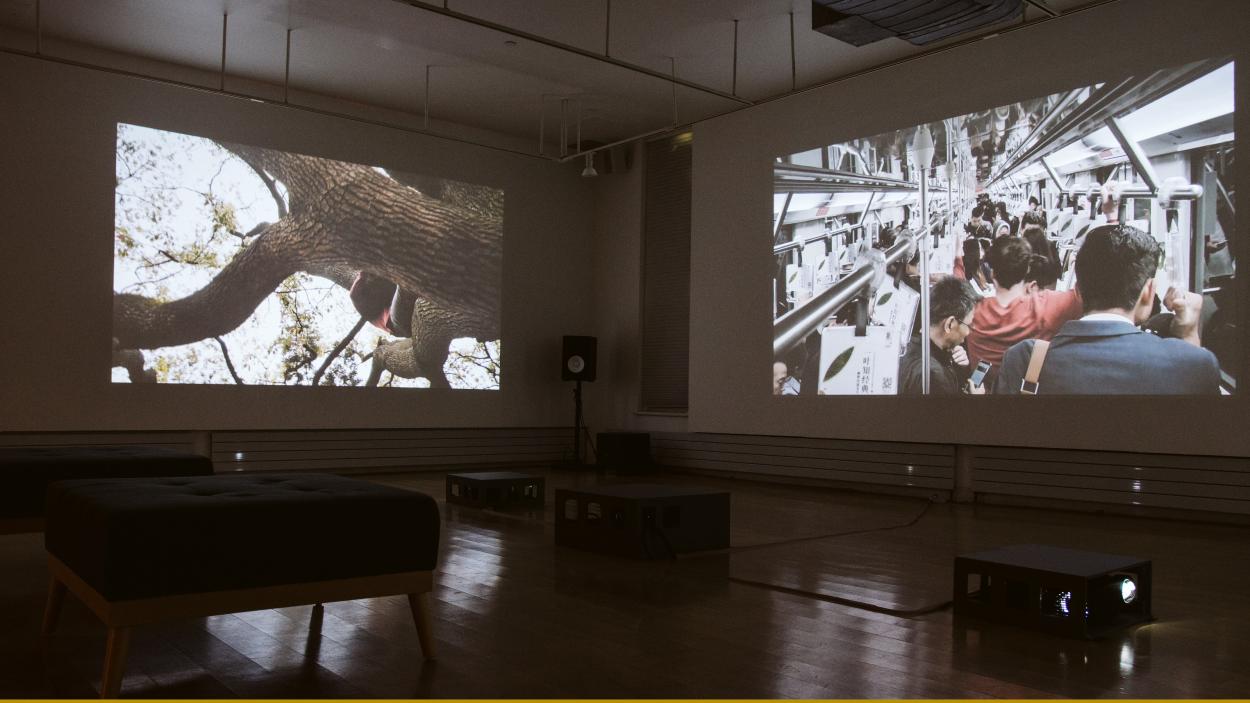 Pauline Jennings' Becoming Human