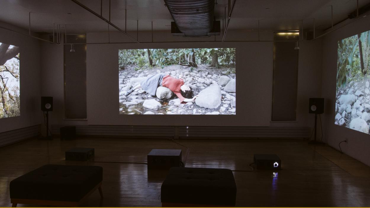 Pauline Jennings' Becoming Human