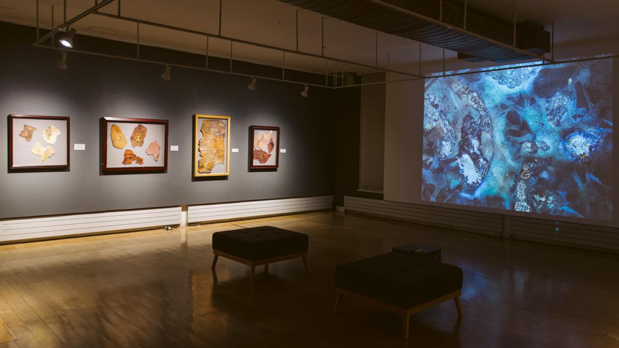 installation view of Kaylynn TwoTrees exhibition. 4 framed art pieces accompanied by a large projection on adjacent wall