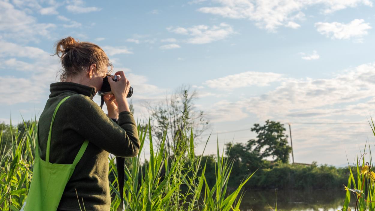 A light skinned woman with dark blond hair in a bun holds a dslr camera and take a picture with tall green grass a a blue sky dotted with clouds in the background.