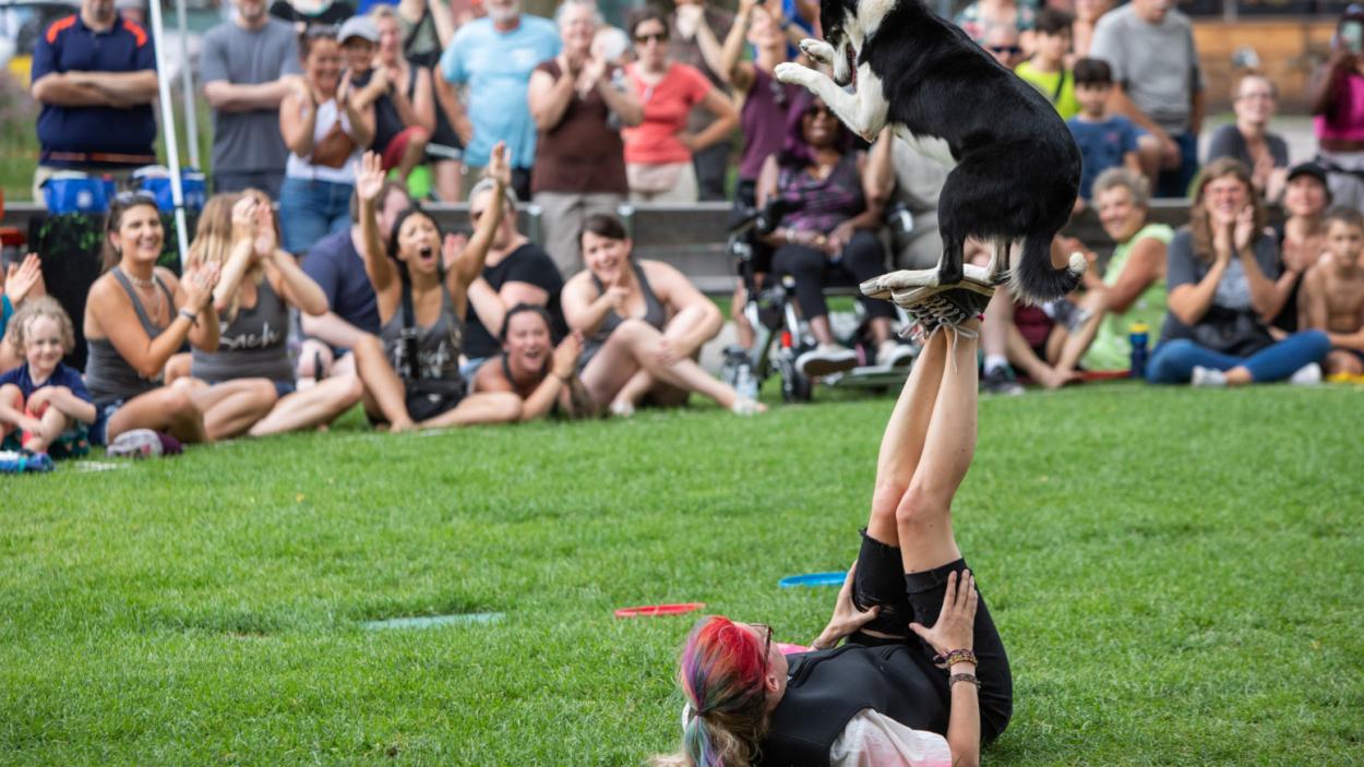 A hpotograph of a black and white dog banaling on the feet of a woman laying on her feet, while a cheering crowd looks on