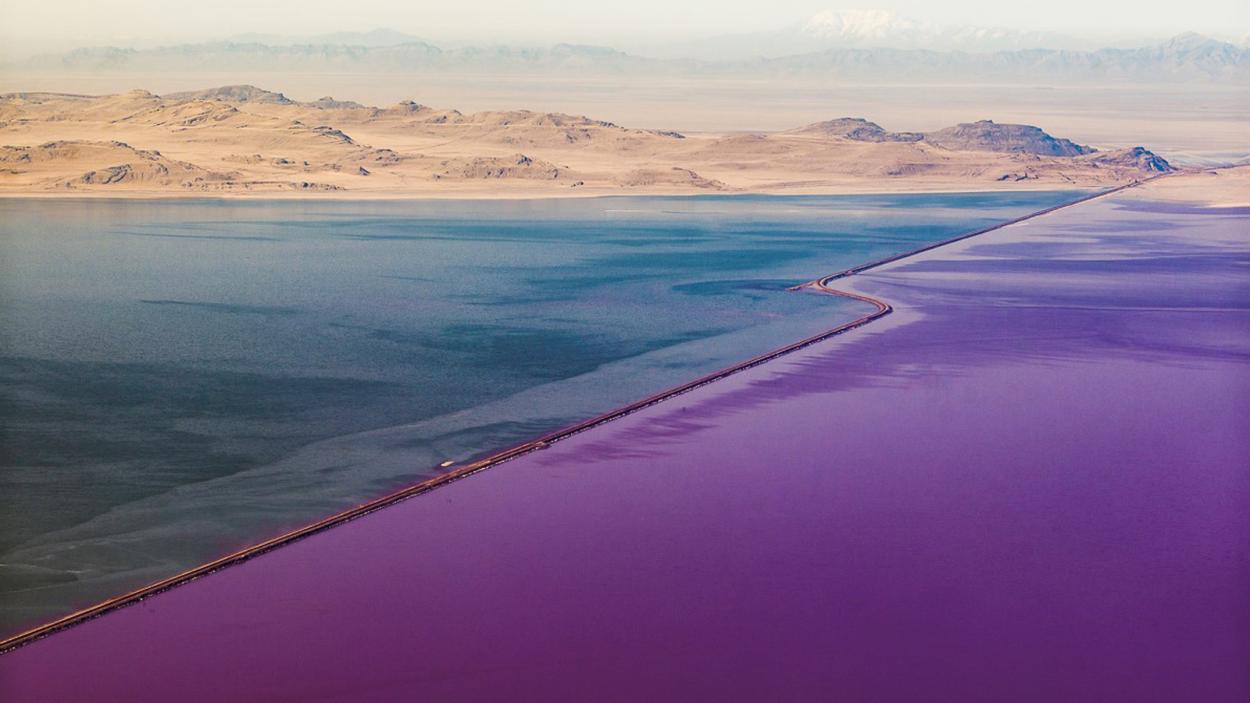 A western desert landscape with a vibrant, possibibly altered by the artist, deep blue and purple lake