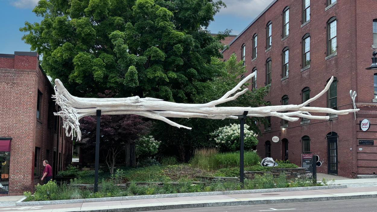 a photograph of Lakebone, a sculpture that consists of a bleached tree, that resembles driftwood, suspended horizontally above a pollinator meadow in the middle of a sidewalk in Burlington Vermont